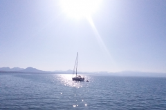 Εικόνα6